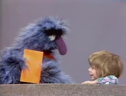 Herry and Kimberly shapes