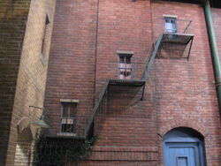IMG 0813.jpg