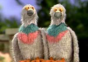 Pigeons.jpg