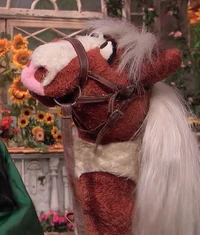 horse in Episode 4835