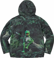 2024 Supreme Kermit jacket2.jpg (608 KB)