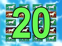 20 (First: Episode 4055)