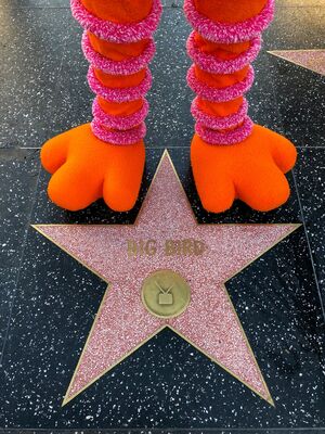 Big Bird at his star in August 2019.