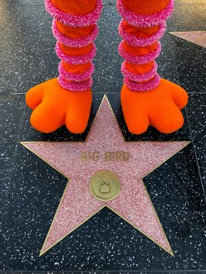 Big Bird feet Hollywood star Twitter Aug 2 2019