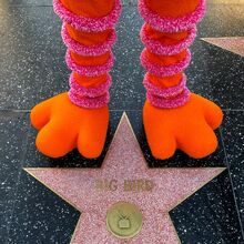 The Hollywood Walk Of Fame Muppet Wiki Fandom