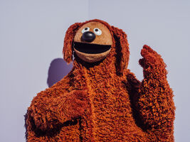 MOMI-rowlf