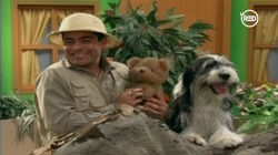 OmarChaparroDogTeddyBear