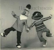 Befollies2.jpg (68 KB)