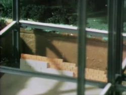 Film-BuildingGrows01