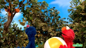 Grover-Beachball