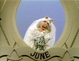 During the "Calendar Song" in The Fantastic Miss Piggy Show, Piggy appears as a bride for June (her groom is unknown).