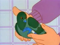 MB802-Pigeon.png (232 KB)