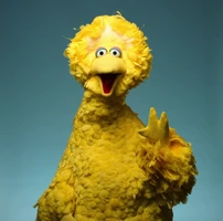 Big Bird (since 1997)