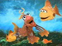 "A Fish Outta Water"