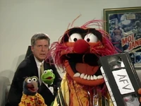 The Muppets on America's Funniest Home Videos, May 8, 2005
