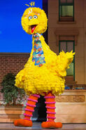 Big Bird as seen in Feld Entertainment's Sesame Street Live. Designed by Animax