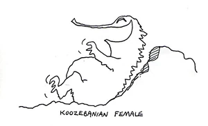 Jim Henson's original concept sketch for the Koozebanian female (1973)