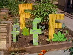 Growing F (First: Episode 3048)