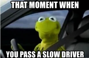 Kermit driving (1).png (74 KB)