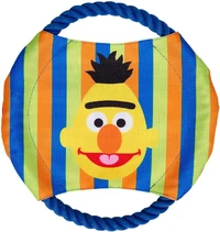 Bert frisbee