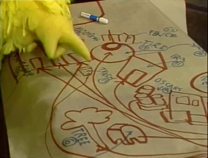  creates an extensive map of  measured in footprints.