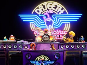 The Muppets Take the Bowl