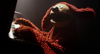 Muppets Most Wanted Teaser 11