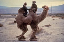 Deleted scene from The Muppet Movie