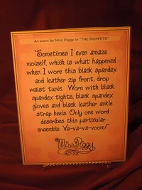 Spandexsign.jpg (132 KB)