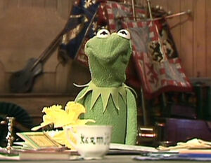 Kermit-frown