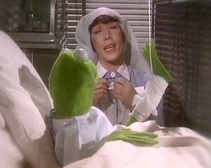 Kermit proposes to a nun