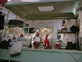 Mousegang.jpg (199 KB)