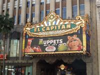 Muppets el capitan