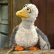 Stinky seagull.jpg (57 KB)