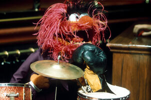 Animal performing his drum solo