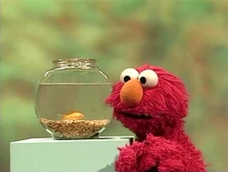 ElmoDorothy.counting