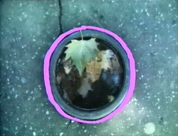 Film-CityShapes-Circle