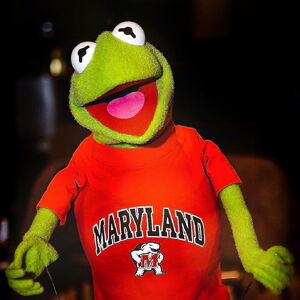 Kermit in a Maryland Terrapins shirt.