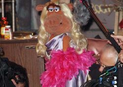 Miss Poogy, Muppet Wiki