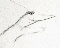 Snatchersketch.jpg (79 KB) Flute-Snatcher (1966), sketch from Jim Henson's Designs and Doodles