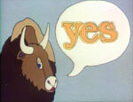 Yak You Yes (Y)