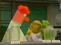 BeakerMuppet Madness