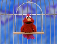 Pet Bird Elmo's World: Pets