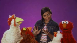 Mindy-Chickens