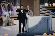 100Stars-1982f.jpg (36 KB)