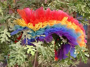 Zoe's rainbow tutu from Aunt Giselle
