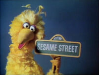 Big Bird Episodes 0171, 0257, 0260, 0264, 0274, 0282