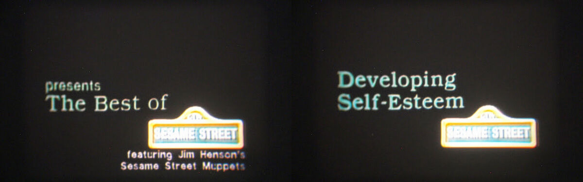 Developing Self-Esteem, Muppet Wiki