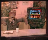 Funniesthomeinjuries