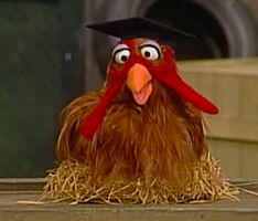 Professor Cluckinella Sesame Street Episode 2434